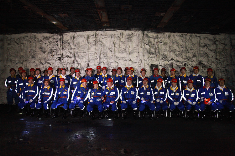 創(chuàng)新聯(lián)盟專家團(tuán)隊(duì)在陜煤（右起左四為何滿潮院士、宋振騏院士、張鐵崗院士、煤炭工業(yè)協(xié)會(huì)副理事長(zhǎng)劉峰